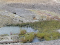 2006_WY 054