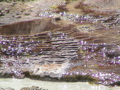 2006_WY 056