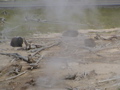 2006_WY 057