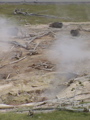 2006_WY 058