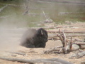 2006_WY 059