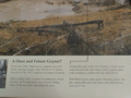 2006_WY 061