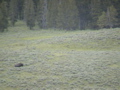 2006_WY 064