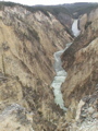 2006_WY 071