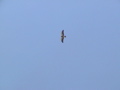 2006_WY 030