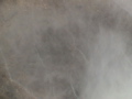 2006_WY 080