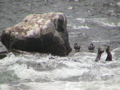 2006_WY 031