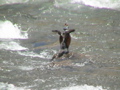 2006_WY 033