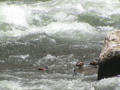 2006_WY 034