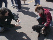 DSC00013.JPG