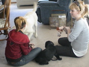 DSC00015.JPG