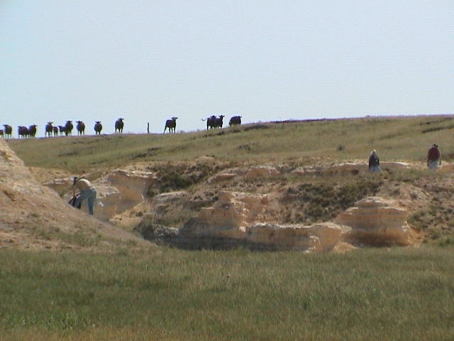 DSC00001.JPG