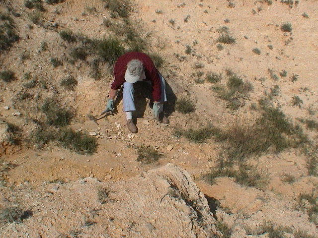 DSC00002.JPG