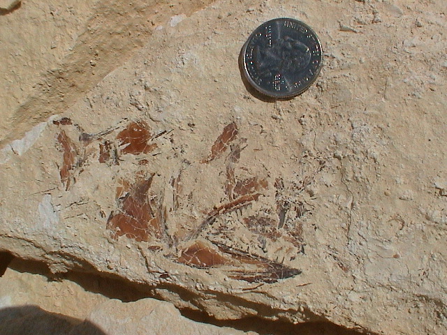 DSC00016.JPG