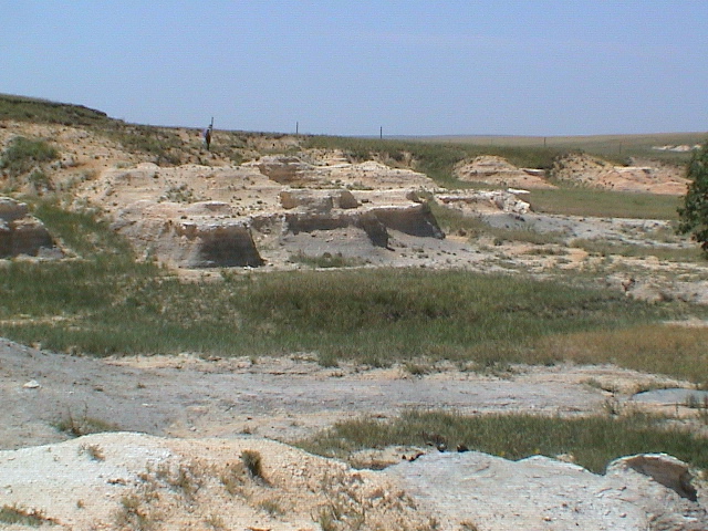 DSC00022.JPG