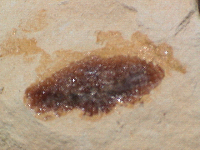 DSC00028.JPG