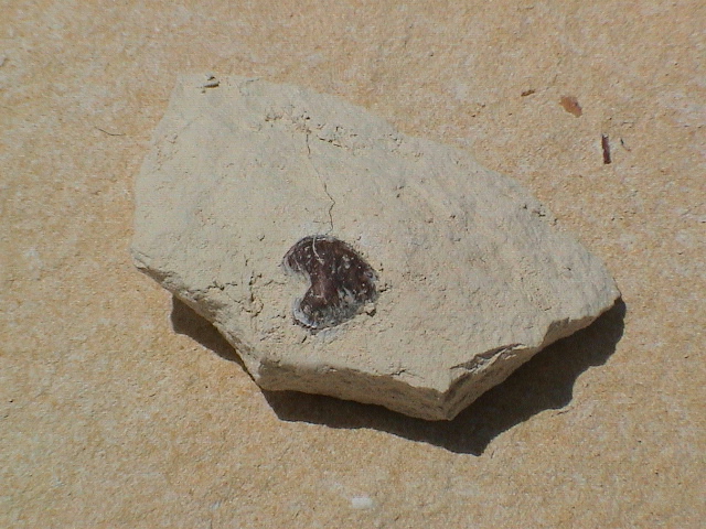 DSC00030.JPG