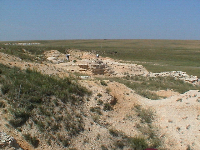 DSC00004.JPG
