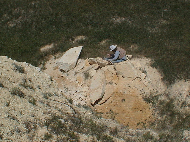 DSC00035.JPG