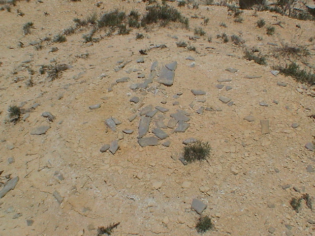 DSC00038.JPG