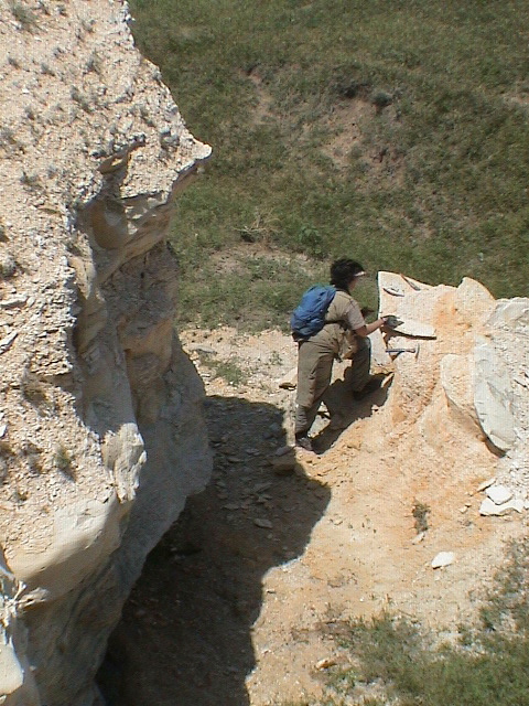 DSC00039.JPG