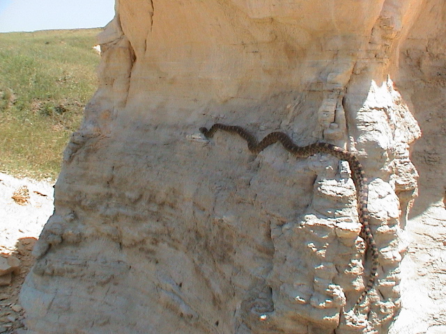 DSC00040.JPG