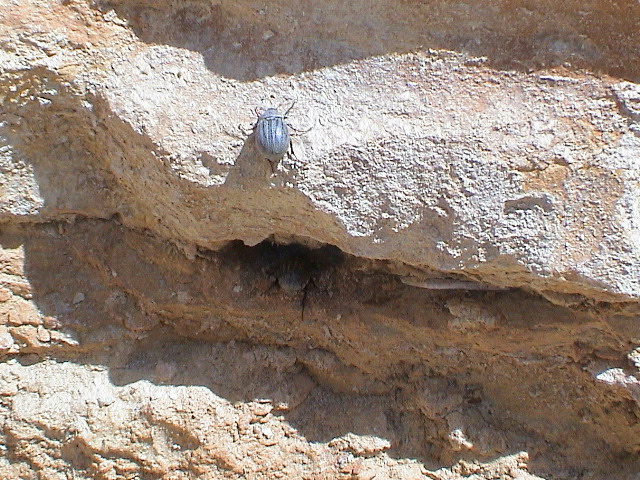 DSC00008.JPG