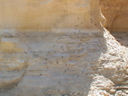 DSC00047.JPG