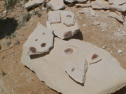DSC00050.JPG
