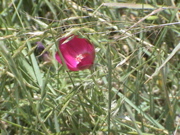 DSC00054.JPG