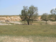 DSC00059.JPG