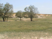 DSC00060.JPG