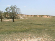 DSC00061.JPG