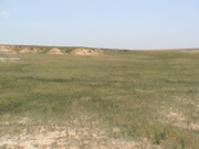 DSC00062.JPG