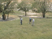 DSC00063.JPG