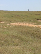 DSC00069.JPG