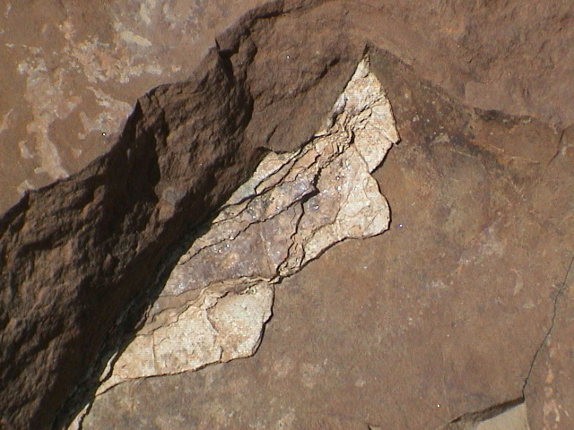 DSC00033.JPG
