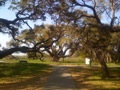 Wed 3/26