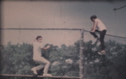 Picture 11