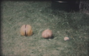 Picture 13