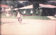 Picture 4
