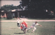 Picture 5