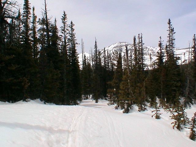 The Solitary Trail