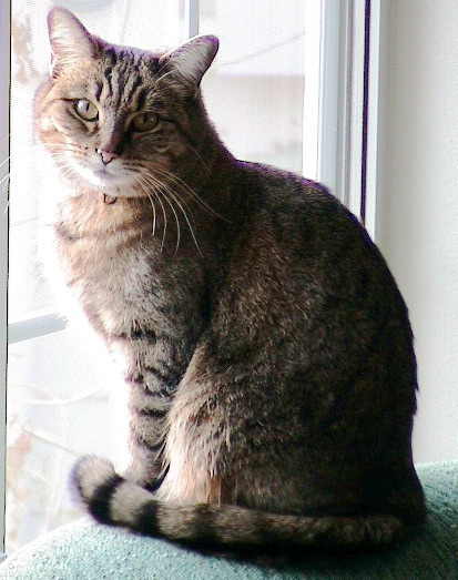 DSC00015.JPG