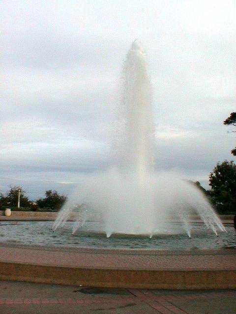 DSC00131.JPG