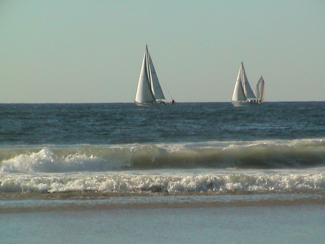 DSC00150.JPG
