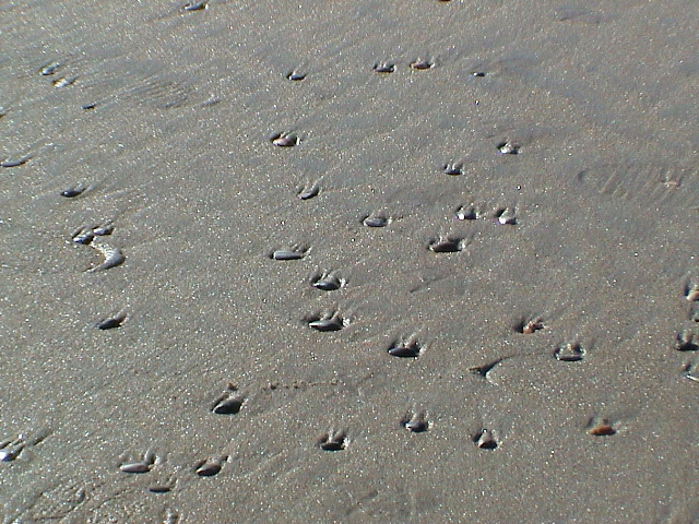 DSC00155.JPG