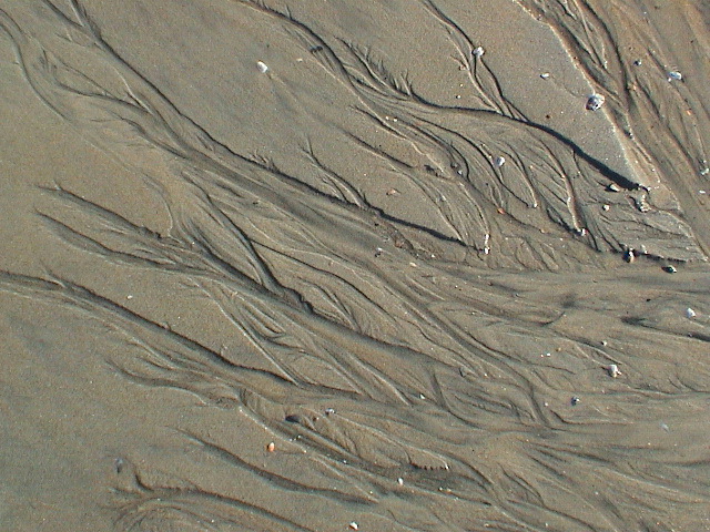 DSC00159.JPG