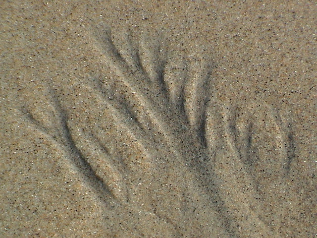 DSC00160.JPG