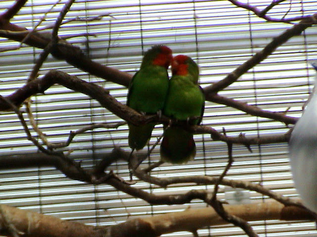 DSC00038.JPG
